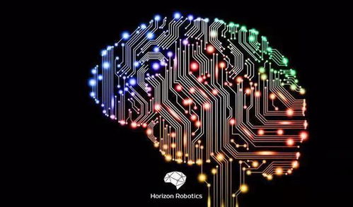 地平線背后 國內(nèi)車企競逐國產(chǎn)芯，人工智能應(yīng)用軟件開發(fā)成新藍(lán)海